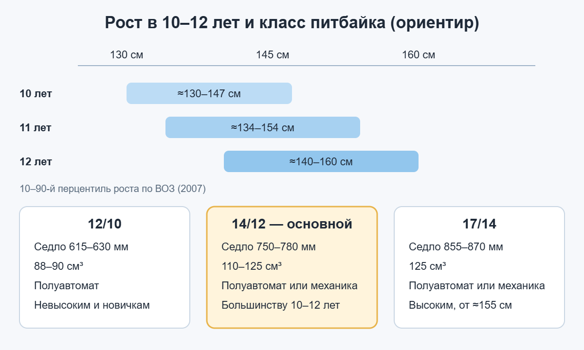 Рост детей 10–12 лет по ВОЗ и подходящий класс питбайка: 12/10, 14/12 или 17/14